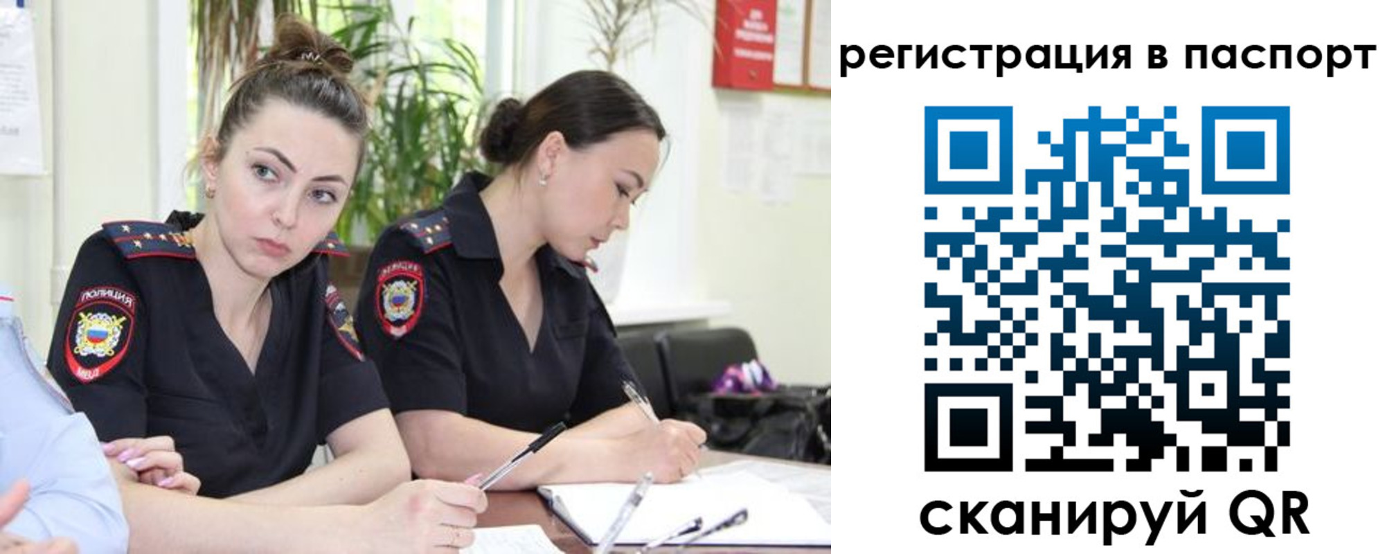 где прописаться в Бородино